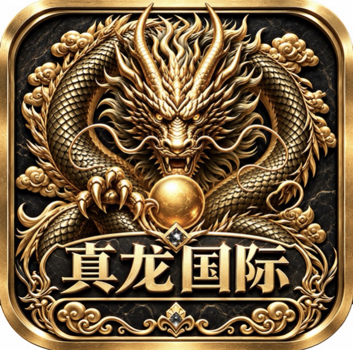 真龙国际